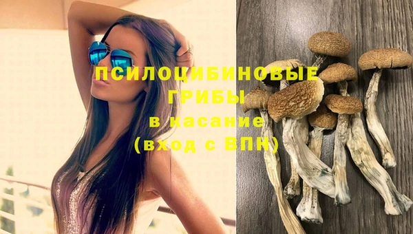 гидропоника Зеленокумск