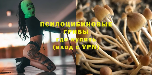 дурь Зеленодольск