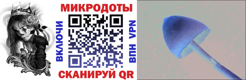 Купить где  Истра  Галлюциногенные грибы мицелий 